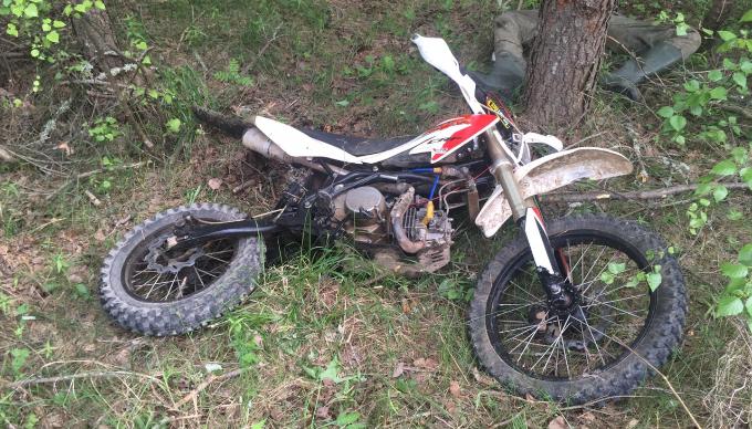 Мотоциклист погиб под Тверью, врезавшись в дерево