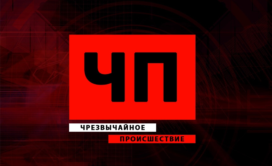 Рекламщик на пони задержал преступника в Калининграде