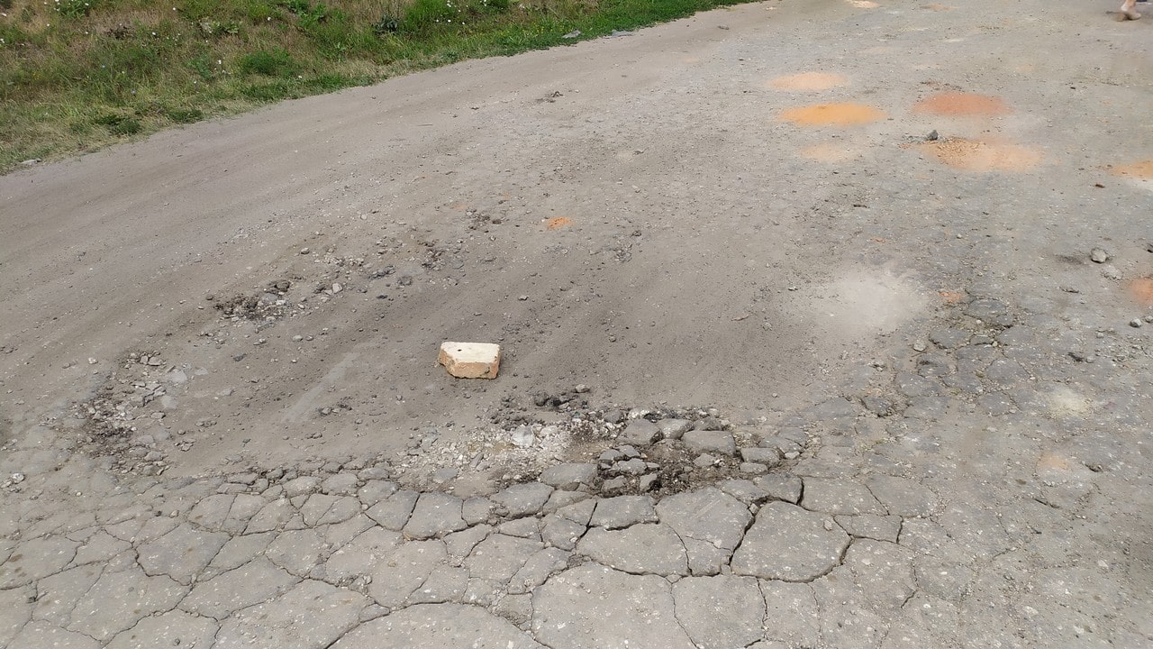 Жители поселка Александро-Невский пожаловались Елене Митиной на плохое состояние дороги