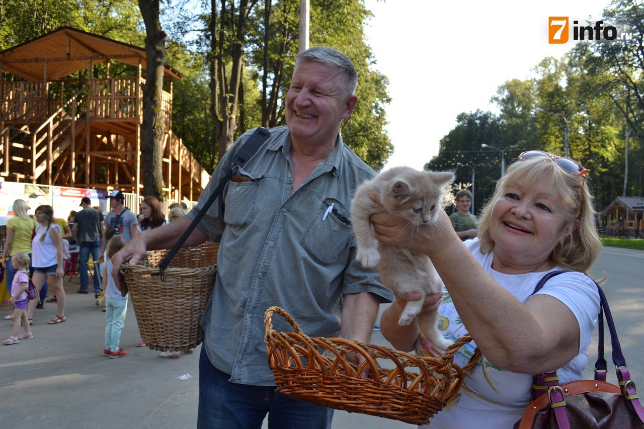В Рязани состоялся «День бездомных животных»