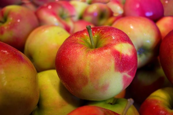 На 5-й базе в Рязани изъяли яблоки неустановленного происхождения