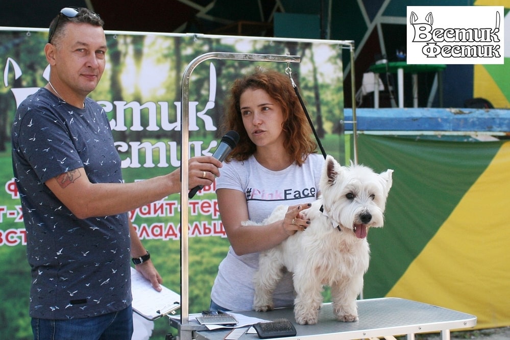 Одинаковых собак собрали на фестивале «Вестик-Фестик»