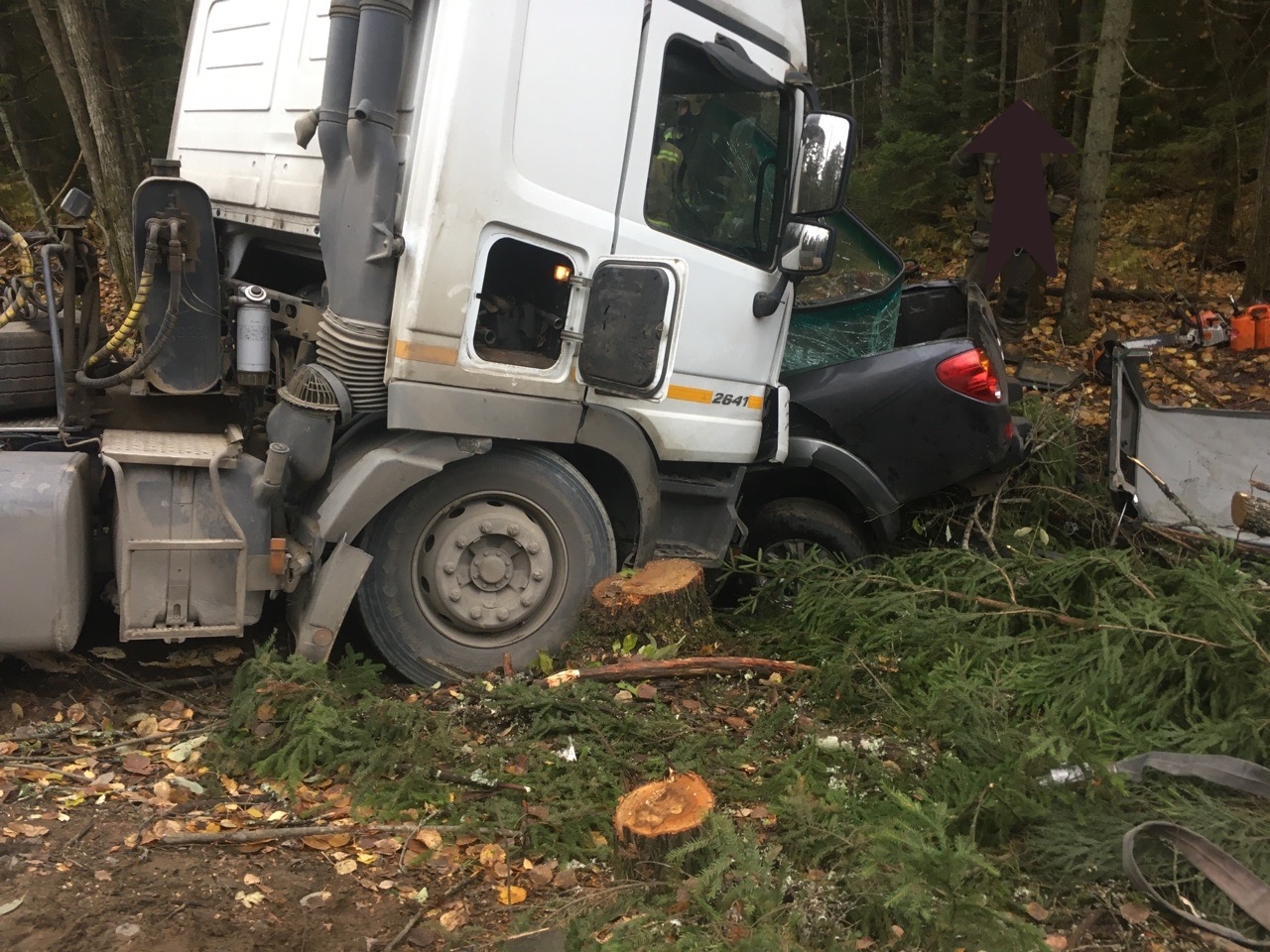 В Ленобласти грузовик раздавил пикап: погибли трое