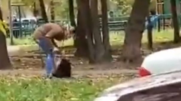 В Москве женщина избила собаку о дверь подъезда