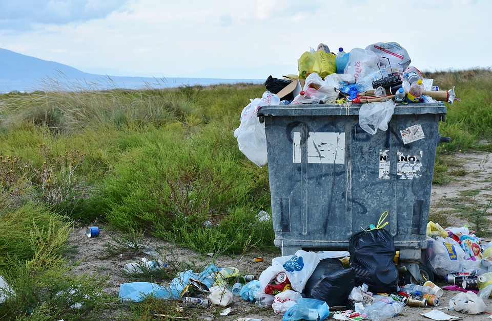 Более 5 000 тонн мусора вывезли с начала месячника по благоустройству в Рязани