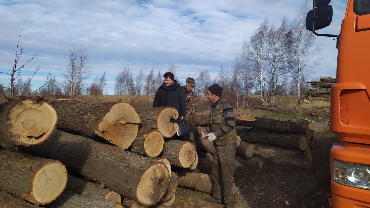 Елена Митина совместно с активистами ОНФ посетила леса Скопинского района, где идет вырубка леса