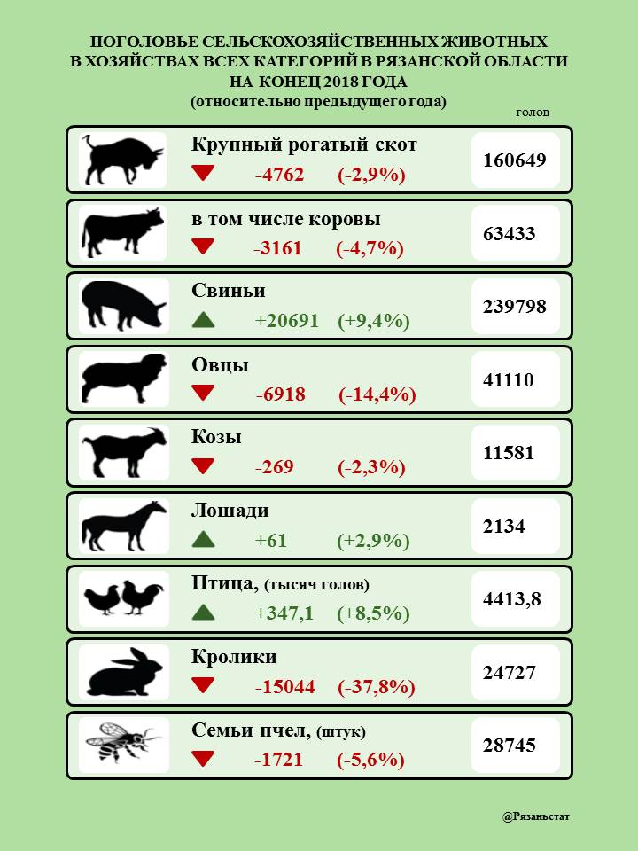 В хозяйствах Рязанской области растёт поголовье свиней