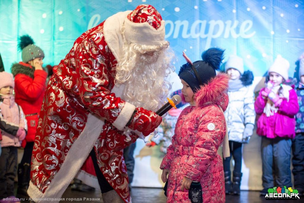 «Новогодние праздники в Лесопарке»: Рязань продолжает встречать гостей