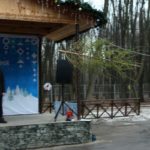 метаниеёлок8-min