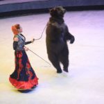 Цирк в Рязани 13