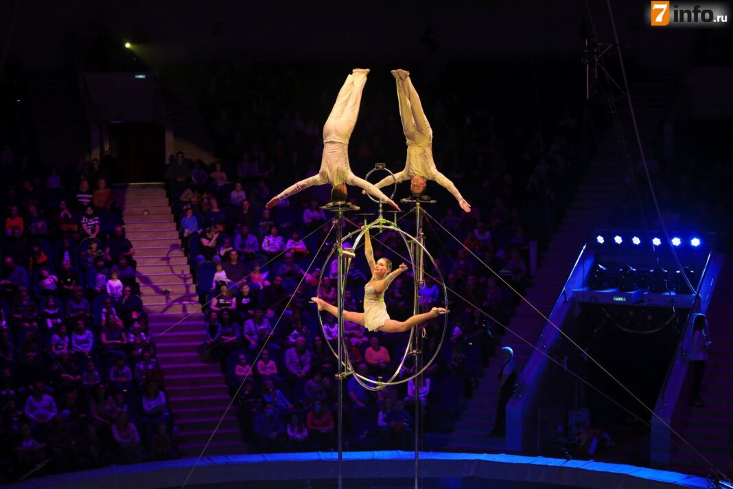 Цирк в Рязани 15