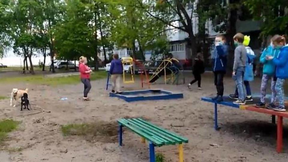Собачницы загнали детей на теннисный стол в Брянске