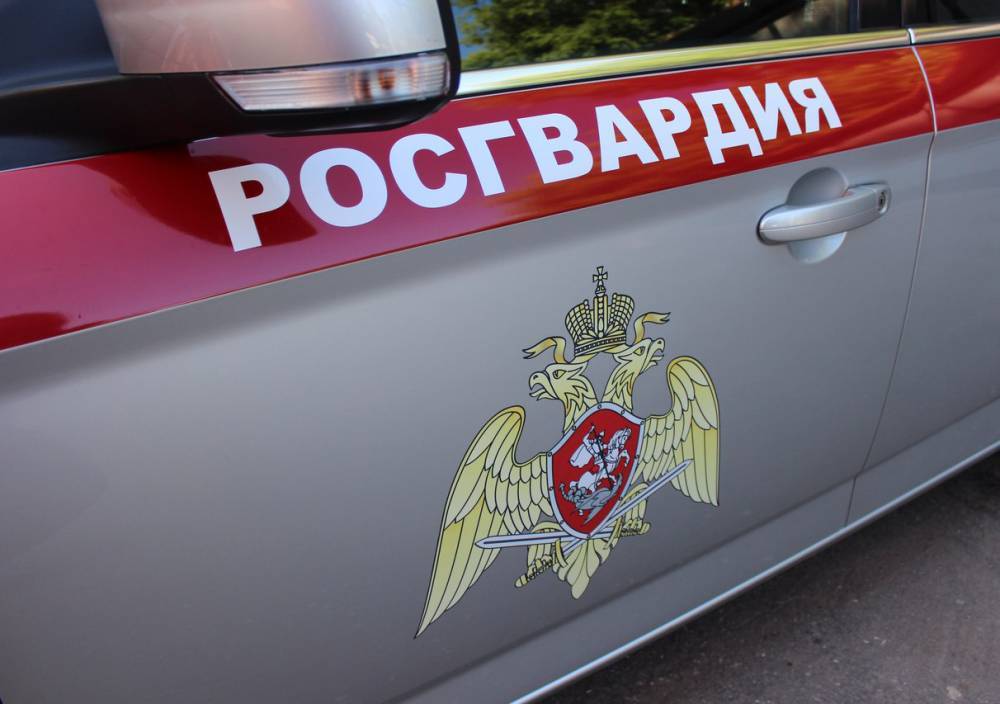 Пьяного водителя задержали в Рязанской области сотрудники Росгвардии