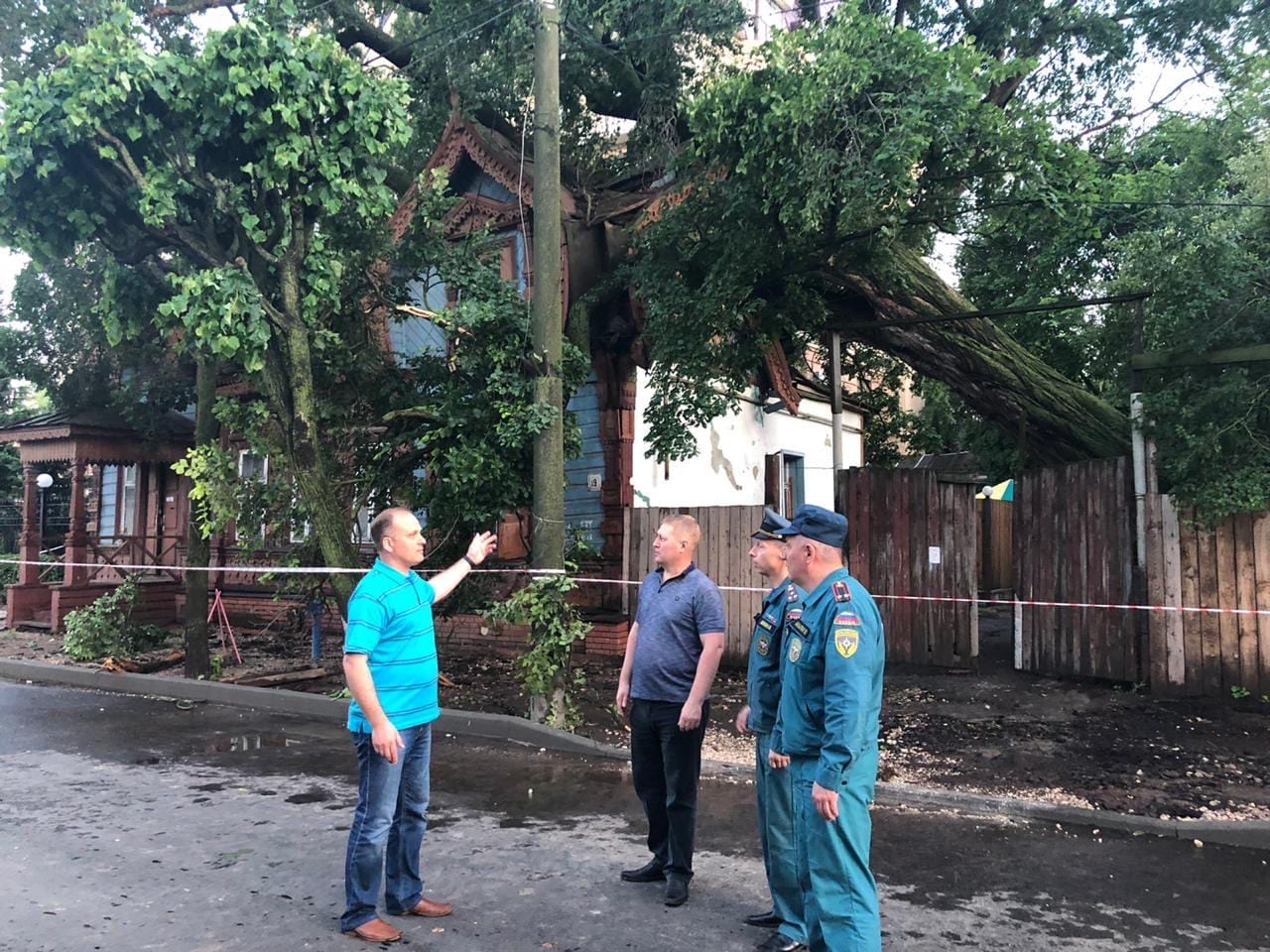 В Рязани убрали дерево, повредившее два дома в центре города
