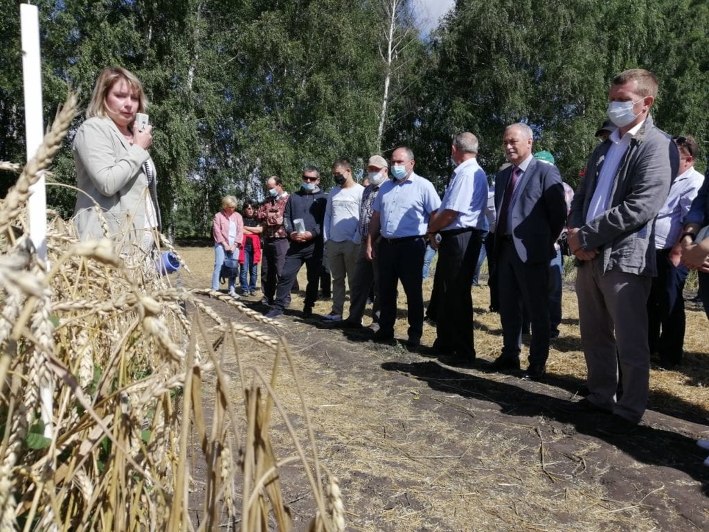 Участники форума «День поля Рязанской области» посетили опытные делянки