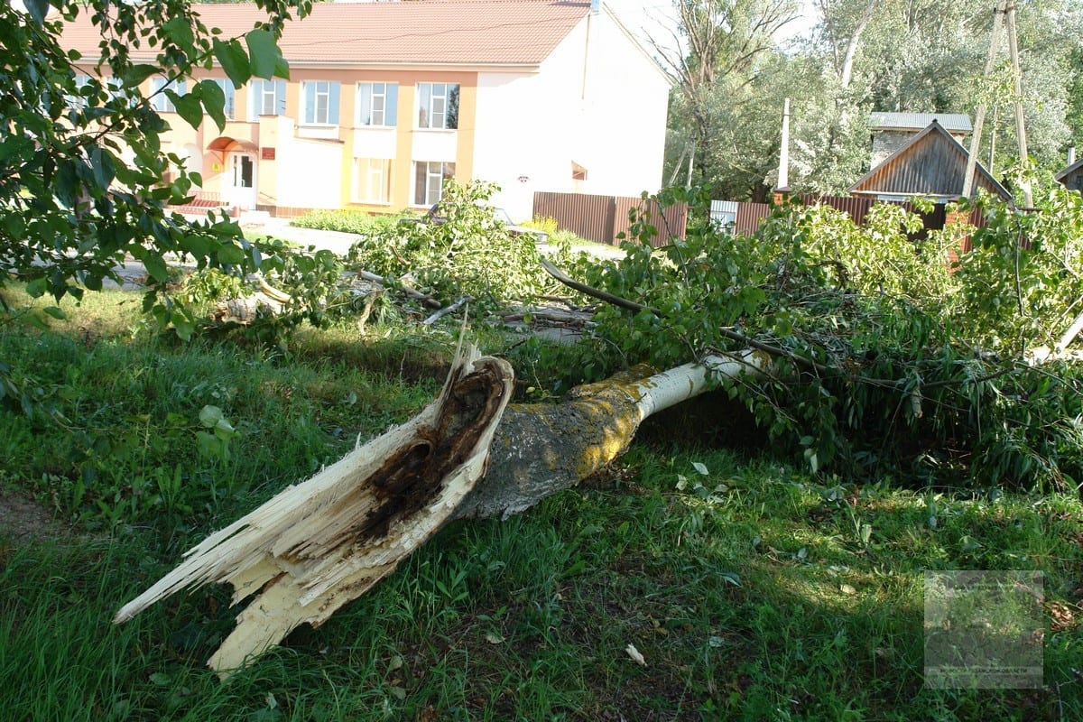 В Ермишинском районе ураган снёс крыши и повалил деревья
