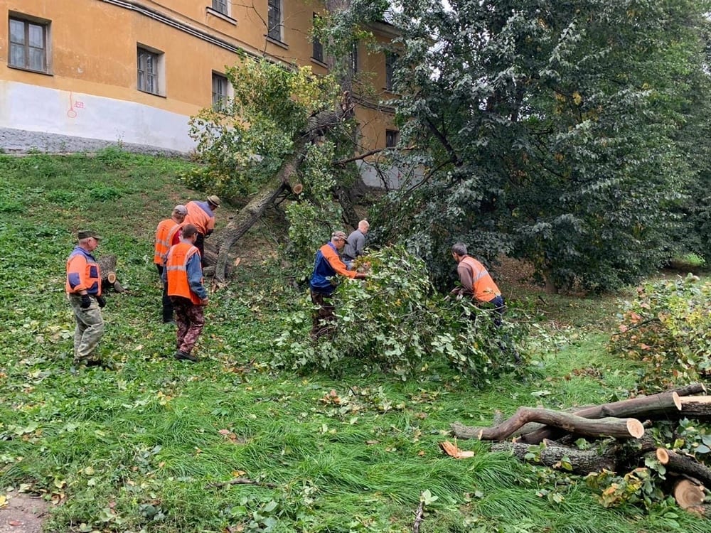 Рабочие распилили упавшее в центре Рязани дерево