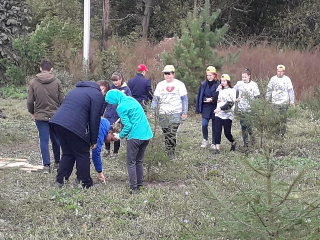 В Скопинском районе высадили памятную аллею МЧС