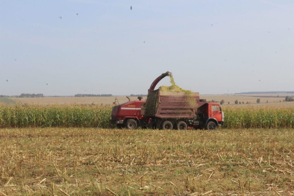 В Скопинском районе намолотили 11 000 тонн кукурузы