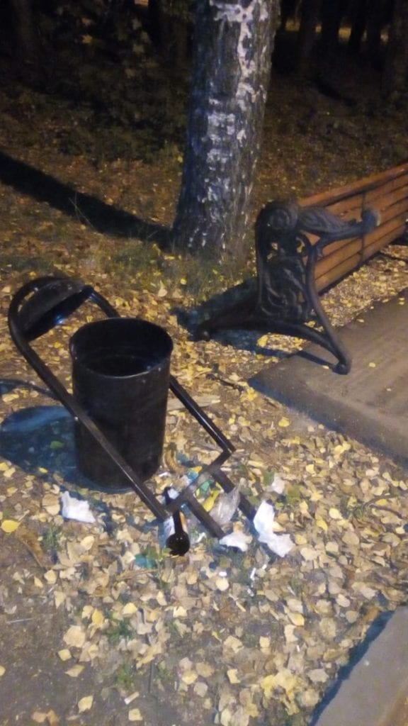 В Рязани вандалы разгромили парк имени Гагарина