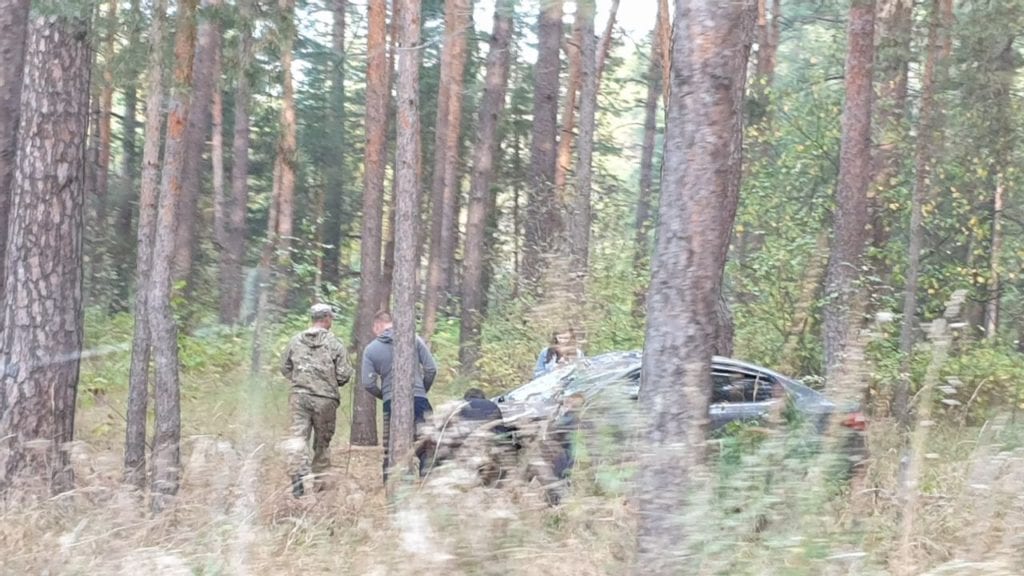 По дороге на Солотчу автомобиль сбил лося
