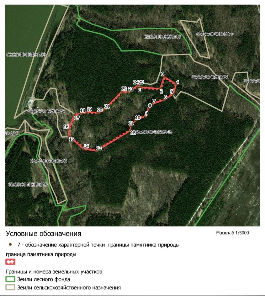 В Рязанской области появится памятник природы "Заколдованный лес"
