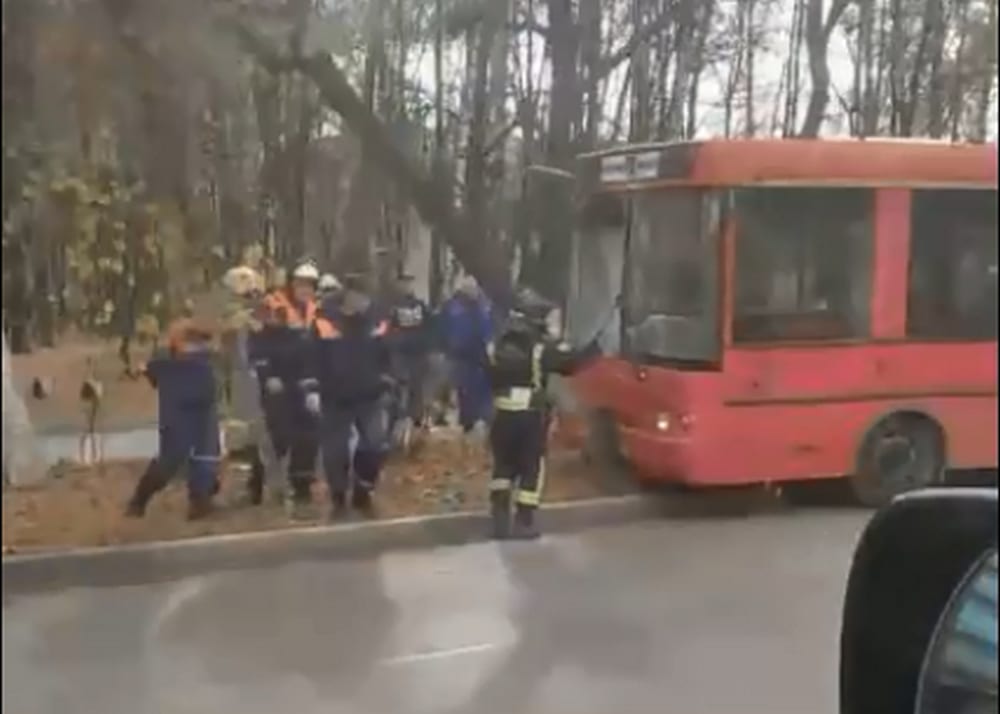 В Рязани автобус врезался в дерево