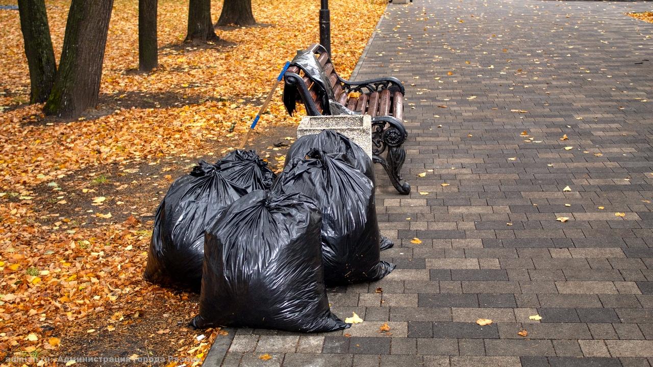 С улиц Рязани убирают опавшую листву