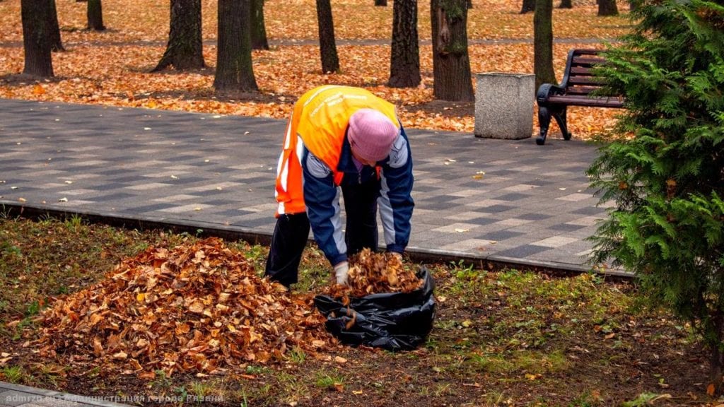 С улиц Рязани убирают опавшую листву