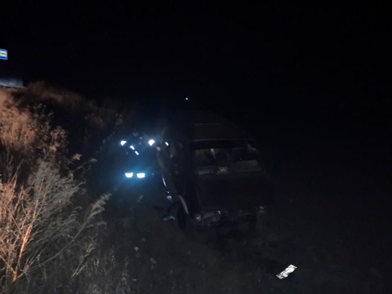 В Скопинском районе пьяный водитель на ГАЗ-2217 вылетел в кювет и опрокинулся