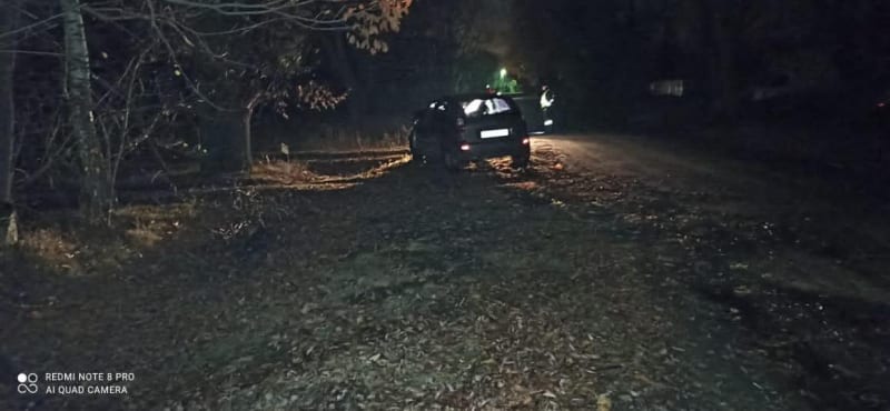 В Рязанском районе пьяный водитель на "Ладе Калине" врезался в дерево