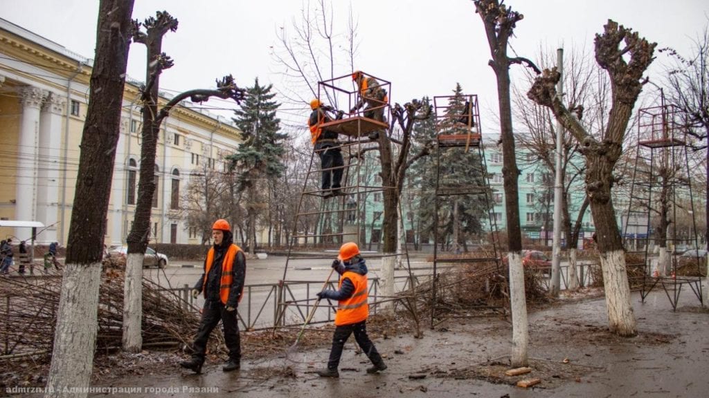 На улице Циолковского в Рязани начали обрезать липы