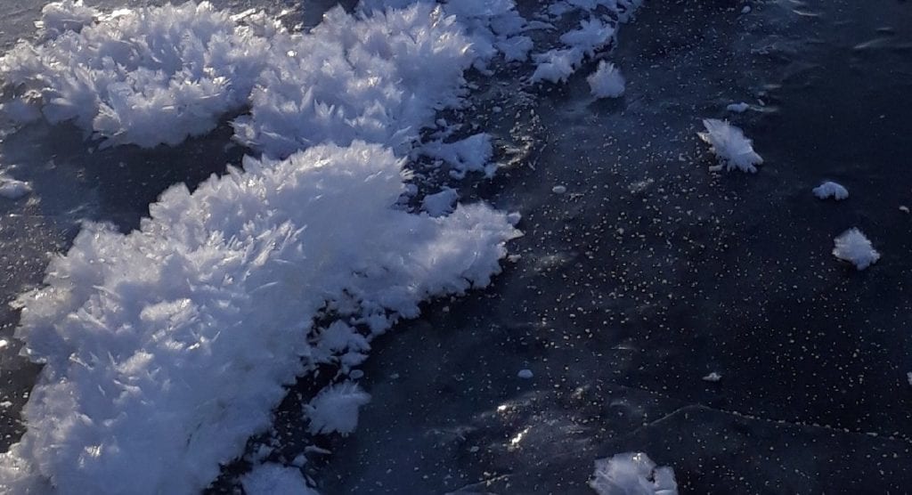 В Касимовском районе сфотографировали «ледяные цветы»