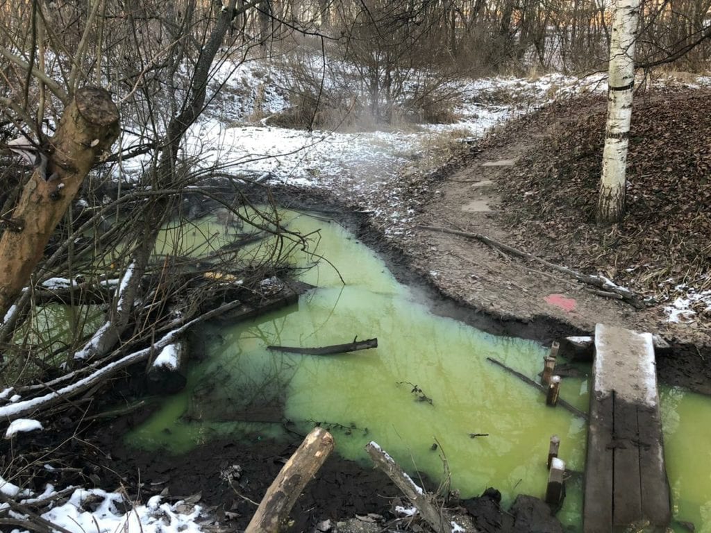 В Соловьиной роще в Смоленске появилось зеленое озеро