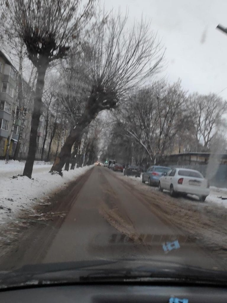 Рязанцев просят убрать машины с парковки на улице Шевченко для сноса аварийного дерева