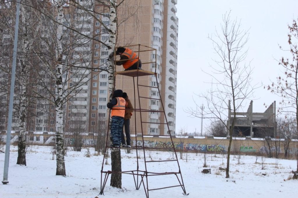 Комсомольский парк Рязани украсили праздничная иллюминация и новогодняя ёлка