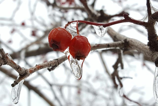 В понедельник в Липецкой области ожидается до -11 градусов мороза