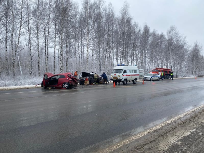 На трассе М-5 под Рязанью произошло смертельное ДТП с участием "Хонды Цивик" и "Волги"