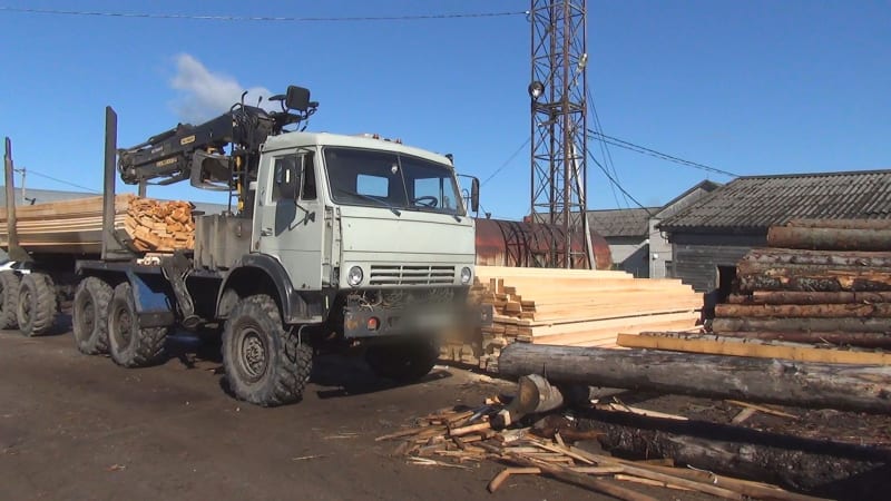 Участкового лесничего из Крестецкого района подозревают в халатности, повлекшей свыше 2 млн ущерба РФ