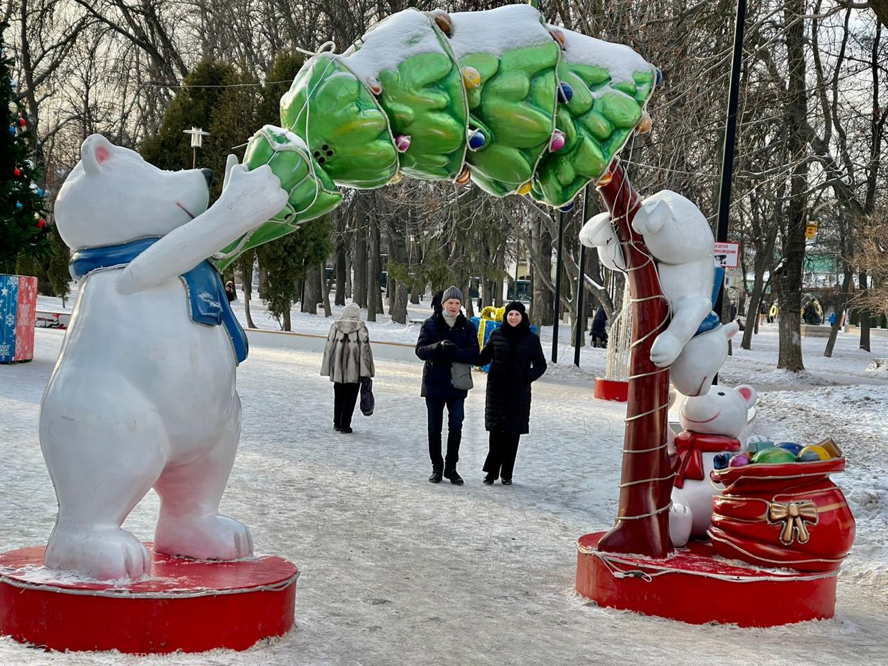 В мэрии Рязани рассказали о новогодних фотозонах в Наташкином парке