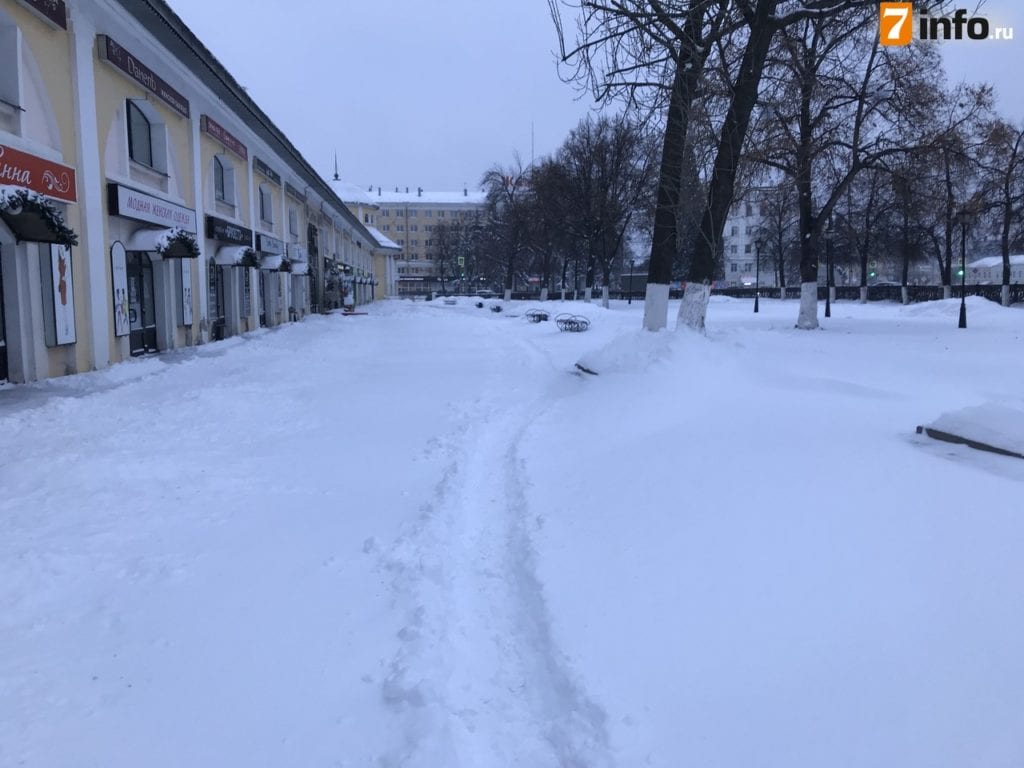 Сотрудники дирекции благоустройства Рязани начали вручную расчищать тротуары от снега