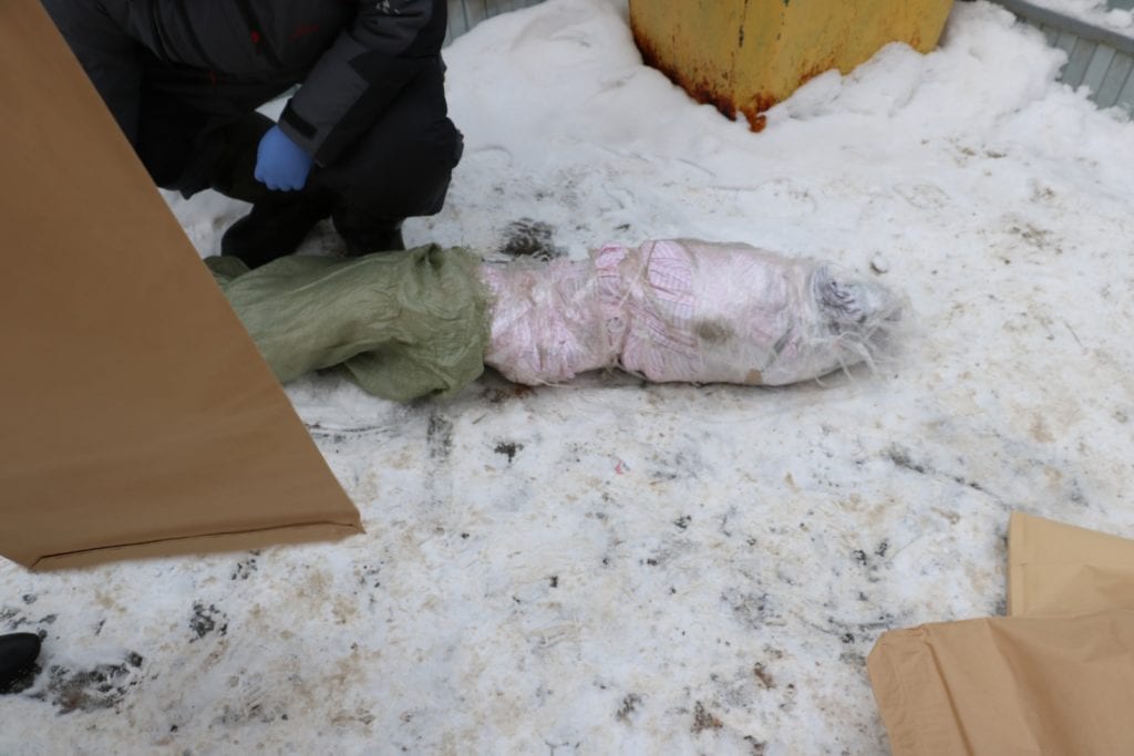 Рязанские следователи опубликовали фотографии из двора, где на мусорной площадке нашли труп