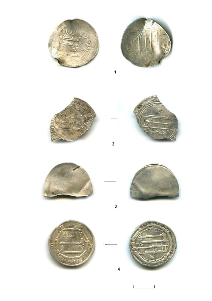 В Рязанской области археологи РАН обнаружили арабские монеты VIII-IX веков