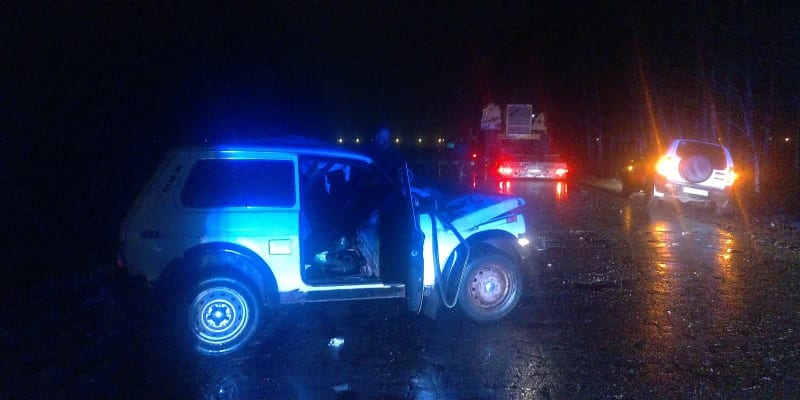 Один человек пострадал в аварии "Нивы" и грузовика "МАН" в Рыбновском районе