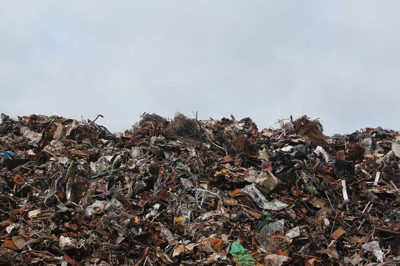 В Белгороде очистят от мусора Архиерейскую рощу 24 апреля