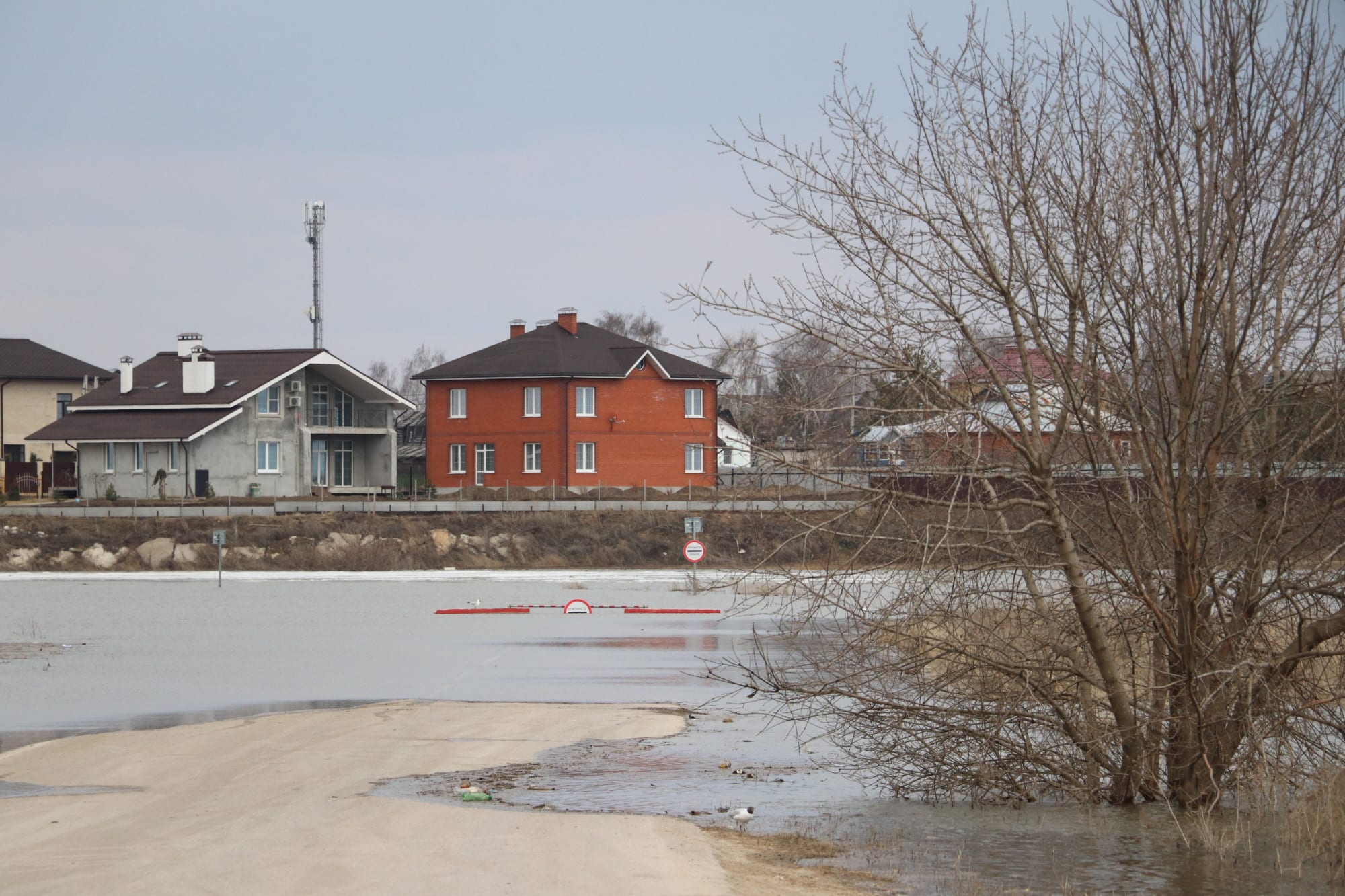 Уровень воды в реках Рязанской области продолжает понижаться
