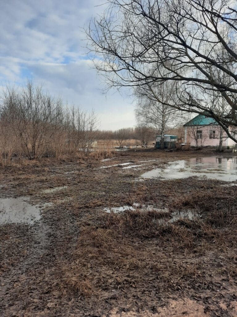 В двух районах Рязанской области уровень воды начал снижаться