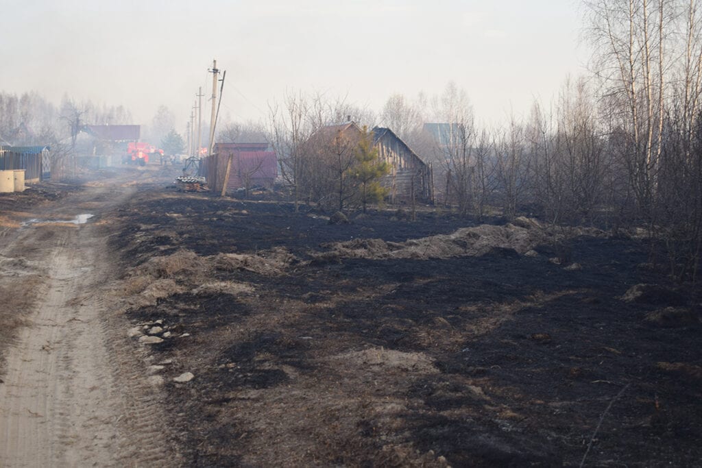 Названа причина пожара, уничтожившего 15 строений в шацкой деревне