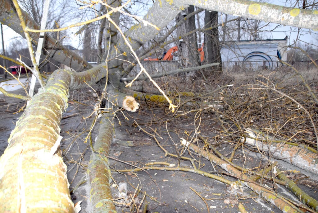 Сильный ураган повалил деревья и выбил окна в Пронском районе