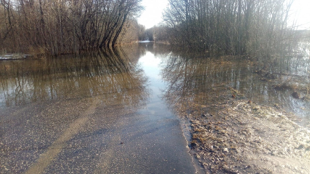 В Лесопарке Рязани затопило дорогу